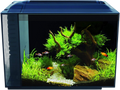 Fluval Spec Aquarium Noir 60 l