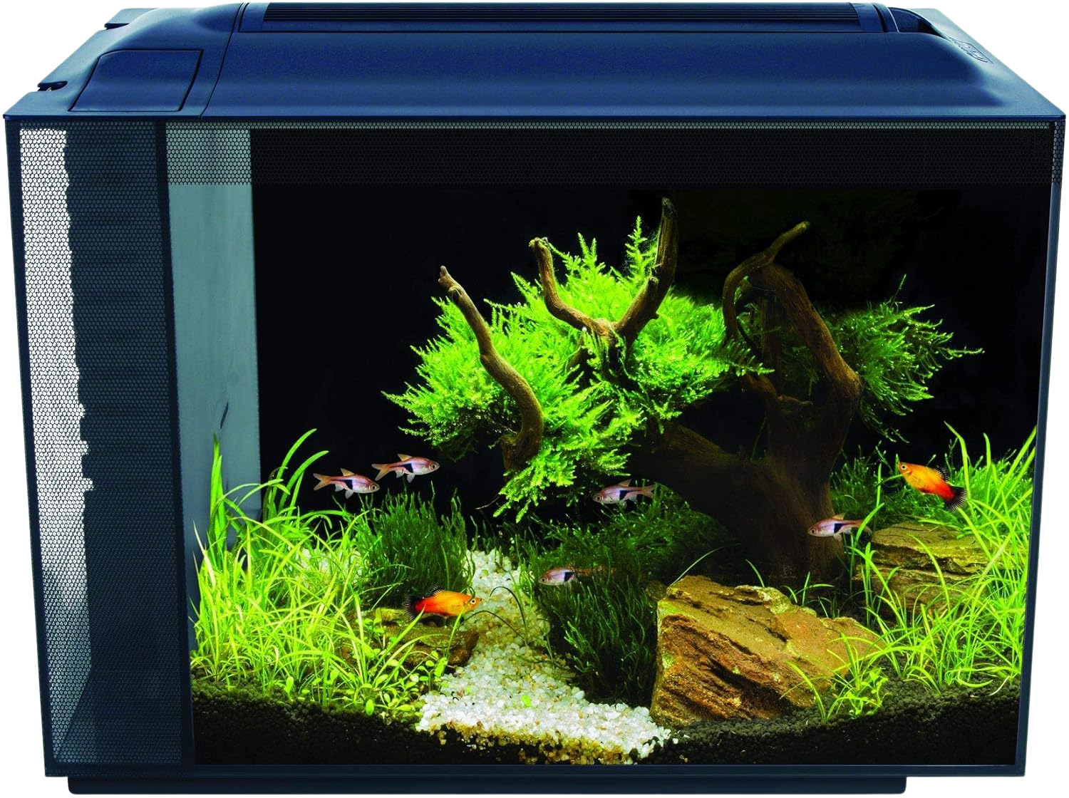 Fluval Spec Aquarium Noir 60 l