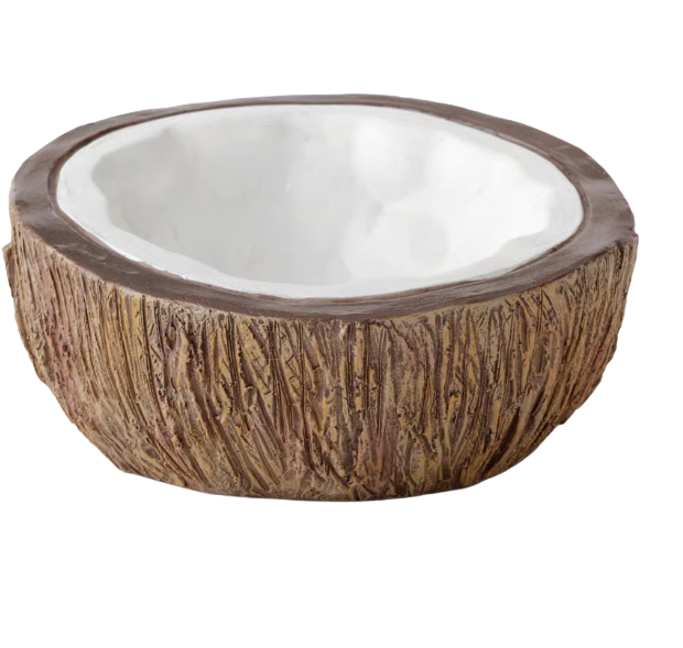 Abreuvoir Noix de Coco Exo Terra