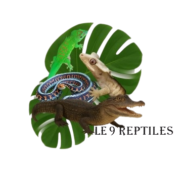 Le9Reptiles