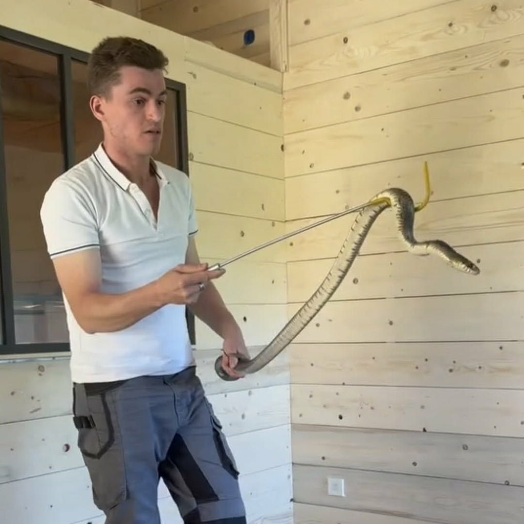 Formation au certificat de capacité – Reptiles