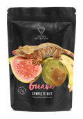gecko nutrition 50g gout goyave