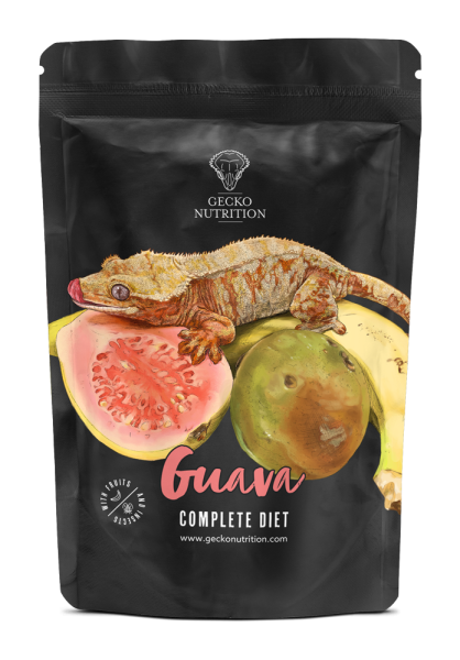gecko nutrition 50g gout goyave