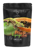 gecko nutrition 50g gout mangue papaye
